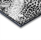 Leopard Acrylic print