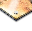 Lion 2 Acrylic print