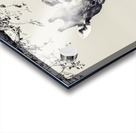 Giraffe Acrylic print