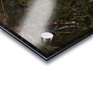 Monkey Acrylic print