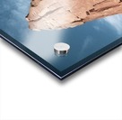 Arches National Park Acrylic print