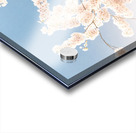 Cherry Blossoms DC Acrylic print