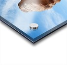 Delicate Arch Utah - on Film Acrylic print