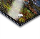 Fall Stream  Acrylic print