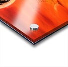 thriller Acrylic print