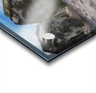 Jahtouch Acrylic print