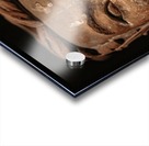 Terracotta Warrior Detail Acrylic print