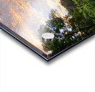 20200801_195954 Acrylic print