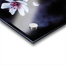 Night Flowers Acrylic print