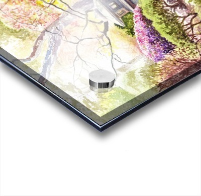 San Francisco Golden Gate Park Japanese Tea Garden  Acrylic print