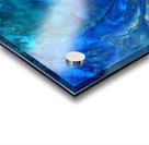 Peacock  Acrylic print