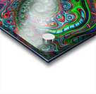 Looney Acrylic print