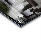 Tofuku-ji KyotoDSC_2572 Acrylic print