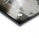 Ryuno Niwa Tofuku-jiDSC_0286 Acrylic print