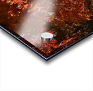 Toji Kyoto DSC_1449 Acrylic print