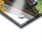 Koetsu-ji KyotoDSC_0219 Acrylic print