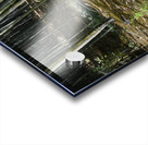 Bamboo forrest KyotoDSC_1258 Acrylic print