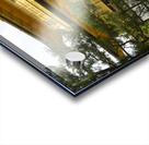 Kinkaku-ji KyotoDSC_0589 Acrylic print