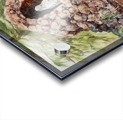 Crockett California Saint Rose Of Lima Church Grotto Acrylic print