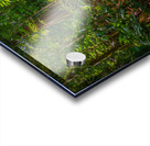 Lost in The Jungle Acrylic print