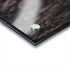 Red forest Acrylic print