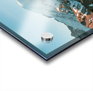 Rainier Acrylic print