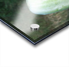 IMG_20200918_165303 Acrylic print