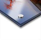 AdriaanPrinsloo 7215 Acrylic print