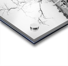 AdriaanPrinsloo 103951 Acrylic print