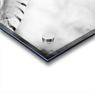 AdriaanPrinsloo 6718 Acrylic print