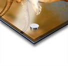 AdriaanPrinsloo 9455 Acrylic print