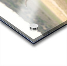 AdriaanPrinsloo 6071 2 Acrylic print