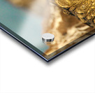 AdriaanPrinsloo 8074 Acrylic print