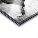 AdriaanPrinsloo 7140 Acrylic print