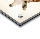 AdriaanPrinsloo 5035 Acrylic print