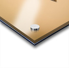 AdriaanPrinsloo 6648 Acrylic print