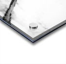 AdriaanPrinsloo 7176 Acrylic print