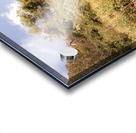 IMG_20201008_113828 Acrylic print