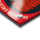 1966 USC vs. Stanford Acrylic print