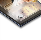 GODs Creatures by Eugene de Blaas Old Masters Classical Art Reproduction Acrylic print