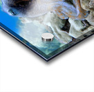 Blue Octopus Acrylic print