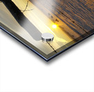 Winter Sunrise Acrylic print