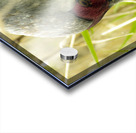 Sandhill Crane Acrylic print