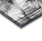 Cat Tracks- Black and White Acrylic print