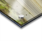 Hot Harley Acrylic print