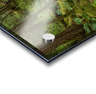 Green and Wet Acrylic print