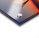 Solitude Acrylic print