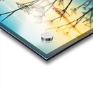 Path to Tomorrow Acrylic print