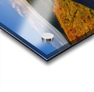 Bliss in Oil Acrylic print