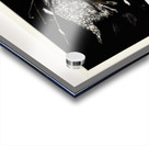 Birdofprey2 Acrylic print